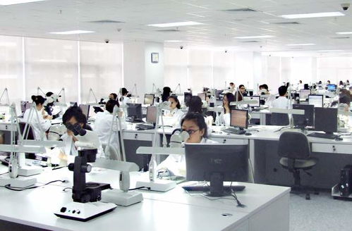 珠寶送檢小程序上線，足不出戶享受專業(yè)珠寶檢測服務(wù)