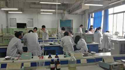 檢驗檢測服務 企業品質與市場信心的守護者